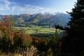 Abstieg ber den Wanderweg und zum Schlu ber die Forststrae nach Weienbach.