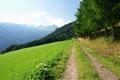 Beim Kirchnerhof vorbei wendet sich der Weg schlielich wieder Richtung Nordwesten. Weit im Hintergrund von links nach rechts: Kleines Gurpitscheck, Groes Gurpitscheck (Siehe Tour vom 17.06.2007) und Karnereck, an dessen bewaldeten Auslufer unser Auto auf uns wartet. In solch einer Situation wnscht man sich das sprechende Wunderauto K.I.T.T., welches David Hasselhof in der Serie 