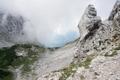 Aufstieg auf den Hochkogel. An der Abzweigung Richtung Gemeindealm vorbei ...