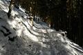 Durch den Wald geht es weiter auf gutem Steig, in dem deutlich Schneeschuhspuren erkennbar sind.