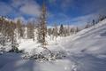 ber ideales Schneeschuhgelnde ...