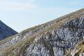 Das Hochplateau ist reich an Gmsen.