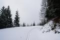 Bereits 100 Hhenmeter oberhalb vom Ghf. Burgstaller war die Altschneedecke unter dem Neuschnee ausreichend hoch, um Aufstieg und Abfahrt zu gewhrleisten. Im untersten Bereich waren allerdings Stoaschi sehr empfehlenswert.