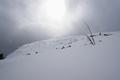 Schner sollte das Wetter heute nicht mehr werden. Die letzten 150 Hhenmeter - teilweise ber Bruchharsch - zum Gipfel.