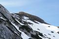 Oben am aperen Mitterkogel tut sich gerade eine Gams am ausgetrockneten Grase gtlich.