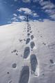 Yeti-Spuren.