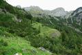 Erst oberhalb der Waldgrenze, im Bereich der Karalm, habe ich sie ein Stck vor mir (in Bildmitte) wieder gesehen. Sie war der Meinung, ich sei weiter oben und ist dementsprechend schnell gegangen.