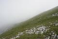 War es bisher nur bewlkt, fllt whrend unserer Jausenpause dichter Nebel ein. Beim Weiterweg reduziert sich die Sichtweite zeitweise auf geschtzte 20 Meter.