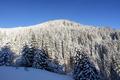 Winterruhe