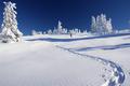 Hier war es wirklich wieder absolut ein Genu, die eigenen Spuren im Schnee zu hinterlassen, so dass wir auch die eine oder andere nicht zwingend notwendige Kehre einlegten.