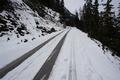 Beim Abstieg trafen wir neben einigen Autospuren, die bis zum Steinerhaus hinauffhrten, und unseren Schneeschuhspuren auch auf 2 Schispuren, die jedoch noch auf der Stoderstrae wieder umkehrten und durch den Wald hinabfhrten. Weiter unten gab es sogar schon die ersten Mountainbikespuren im Schnee.