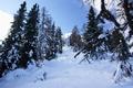 Stellenweise wird der Steig jetzt steiler und grere, bis knapp unter die Schneedecke reichende Felskltze bringen mich einige Male zum Rutschen.