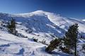 Beim Abstieg vom Schwarzkoppen - noch einmal der Angerkogel.