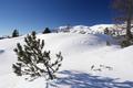 ber die Nordhnge der Kitzspitze mitunter steil abwrts und drben am Westauslufer des Eisernen Bergls wieder bergauf.