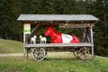 ... gelange ich wieder zurck zum Gasthof Feisterer, in dessen Umfeld sich einige Tiere (Hund, Esel, Pferd, Schafe) tummeln. Und auch welche nicht aus Fleisch und Blut.
