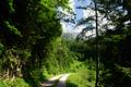 Lang und nur mig steigend schlngelt sich der Forstweg ber einige Serpentinen und lange Geraden bergwrts.