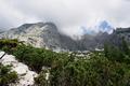 Bei unserer Schneeschuhwanderung am 23.04.2006 sind wir hier einfach gemtlich ber die mehr als mannhohen Latschenfelder direkt bergauf gewandert.