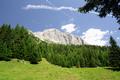 Grne Almen, graue Felsen (Zwillingwand) - der Haupteindruck des heutigen Wandertages.