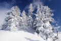 Winter-Impressionen