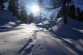 Der folgende Weg ist bis auf wenige Ausnahmen nicht sonderlich schwierig, erfordert aber im Wald gute Orientierungsfhigkeiten (oder ein zuverlssiges GPS-Gert). Der tolle Schnee erlaubt mir sogar mit Harschkrallen das scheinbar schwerelose Hinabgleiten ber steilere Hnge.