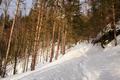 Die Route fhrt ber weite Bereiche durch dichten Wald und ber Hohlwege.