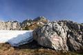 ... der sich im Bereich ab etwa 1.800 Meter Hhe auch auf der Sdseite des Kammspitz abschnittsweise noch halten kann.