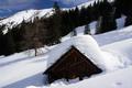 Bei den Almhtten endete die Schneeschuhspur - ab hier war eigenes Spuren angesagt, bei Einsinktiefen von 10 bis 20 cm im feuchten, patzigen Schnee.