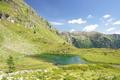 Vom Karnersee steigen wir zunchst weglos Richtung Westen auf, wo wir dann aber bald auf den markierten Steig auf das Gurpitscheck treffen.