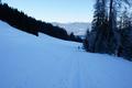 ... wieder ber eine Wiese hinauf zum Gasthof Sattelgut ...