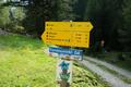 Wir starten unsere Tour im Forstautal auf halbem Weg zwischen Unterer Weitgaalm und Hintereggalm, etwa 2 Kilometer vor dem Ende der staubigen Forststrae bei der Vgeialm. In der Freytag&Bernd-Karte ist die Tour zwar als markierter Wanderweg eingezeichnet, vor Ort haben wir aber keinerlei Wegmarkierungen gesehen. Zuerst geht es nach rechts einige Meter hinunter zum Forstaubach, den wir ber eine kleine Brcke berqueren.