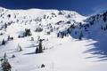 Und sptestens hier entschied ich mich dafr, den Tanzbodenkogel fr heute abzuhacken.