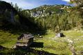 ... zunehmend verfallenden Htten der Obertrauner Landfriedalm. Hier dreht sich die Route nun nach rechts und dem Verlauf des Almgelndes folgend strebt man zunchst dem Niederen Hirschberg zu.
