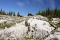 Viele kleine, idyllische Htten auf einem Felsplateau - die Ausseer Landfriedalm.