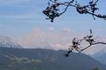 Wenn es sch�ner w�re, w�re es sicher sch�ner, obwohl - es war ja eh sch�n. Dunstig halt.
