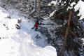 Nur kurz bleiben wir am Winterwanderweg, bald schon fhren zahlreiche Fuspuren etwas steiler und direkter den Wald bergan und bald treffen wir auf den markierten Sommerweg, der den Winterweg (die Forststrae) mehrmals quert. Hie und da ein zugefrorenes Bchlein am Weg, unter der dicken Eisschicht ist gedmpftes Gurgeln zu hren.