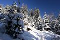 Ab der Brgerbergalm nahm die Schneehhe nun merkbar zu, durch die ausgeprgte Spur etlicher Wanderer vor uns konnten wir aber vorerst auf die Schneeschuhe verzichten.