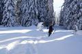 ... gelangen wir schlielich in flacheres Gelnde. Die Wandererspur grbt sich gut und gerne 40 bis 50 cm in den lockeren Pulverschnee.