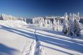 Bestes Schneeschuhwandergelnde am Robrand-Plateau.