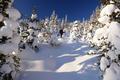 ... die wir aber bald wieder verlassen, wobei wir aber darauf achten, nicht in allzu dichten Wald zu gelangen, da die Schneedecke auf freien Waldhngen einfach dicker ist.