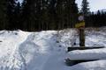 Start in der Nhe des Bodensee-Parkplatzes in Gssenberg. Wir folgen der Markierung Richtung Pleschnitzalm.