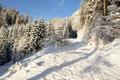 Zum Anlegen der Schneeschuhe lohnt die Schneehhe aber erst im Umfeld des Sbelbodens. Ich geniee den frisch eingeschneiten, winterlichen Eindruck nach den leichten Schneefllen der letzten Tage.