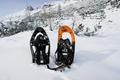 Die heutigen Schneeschuh-Testmodelle: TSL 325 Explore Easy und Tubbs Flex Alp. Natrlich gab es auch heute wieder die bereits aus dem Vorjahr bekannten direkten Duelle - Fu gegen Fu, Schneeschuh gegen Schneeschuh. Das Ergebnis werde ich in einem separaten Artikel beschreiben. Nur soviel vorweg: Beide Modelle waren heute fr berraschungen gut.