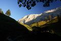 ... erreiche ich die Waldgrenze und gleich dahinter ...