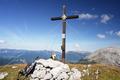 Einer von diesen Vierbeinern ist der folgsame Hund des Wanderers, der sich beim Gipfelkreuz breit gemacht hat.