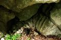 Etwas mhsam ber glitschige Felsen und duch schlammige Wegpassagen fhrt der Steig auf der anderen Seeseite entlang senkrechter Felswnde wieder steil bergan. In einer Felsnische entdecke ich etliche Knochen. Heute bereits das zweite Jausenplatzerl.