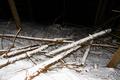 Der unterste Wegabschnitt verluft im Wald, ist stellenweise recht steil und mangels gengend Schneeauflage mu ich die Strecke ohne Schneeschuhe bewltigen. Der Steig am gefrorenen Waldboden und ber Wurzeln ist ziemlich rutschig und im Stirnlampenlicht nicht immer eindeutig auszunehmen.