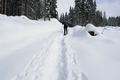 Oberhalb von etwa 1.300 Meter Seehhe steigt die Schneemenge merkbar an. Dank zweier Schneeschuhgeher und einiger Wanderer ist die Route bis zur Viehbergalm aber gut gespurt.