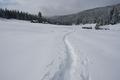 Messungen ergaben heute bis zu 70 Zentimeter Schnee - am meisten weiter stlich im Umfeld des Miesbodensees. Die durchschnittliche Einsinktiefe betrug etwa 40 Zentimeter. Alles in allem also schon recht beachtliche Schneemengen, die beim Spuren einigen Kraftaufwand erforderten. Vor allem, wenn man eine saubere und schne Spur legen mchte ;-)