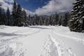 Ein Schritt bestand eigentlich immer aus 3 Bewegungsabl�ufen: 1.) Den Schnee mit dem Bauch etwas niederdr�cken - 2.) Das Bein hoch herausziehen und mit dem Knie den Schnee noch weiter niederdr�cken - 3.) Und dann schlie�lich der eigentliche Schritt, mit dem man wieder bis weit �ber die Knie im Schnee verschwindet.