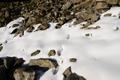 Meine ersten Spuren im Schnee in der noch gar nicht begonnenen Wintersaison 2009/2010.